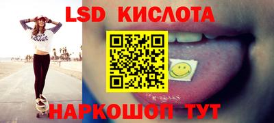 apvp Гатчина