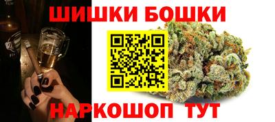 индика Гагарин