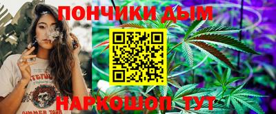 apvp Гатчина