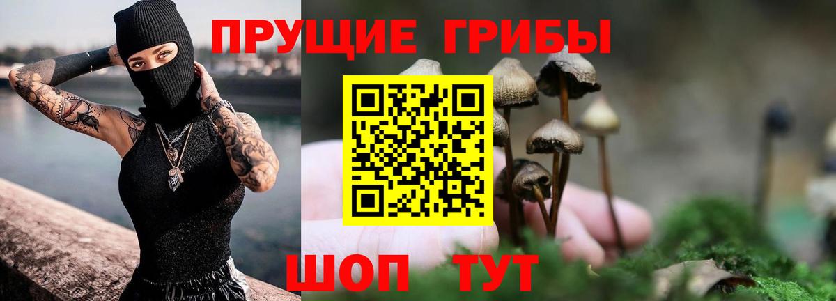 Галлюциногенные грибы ЛСД Нерюнгри
